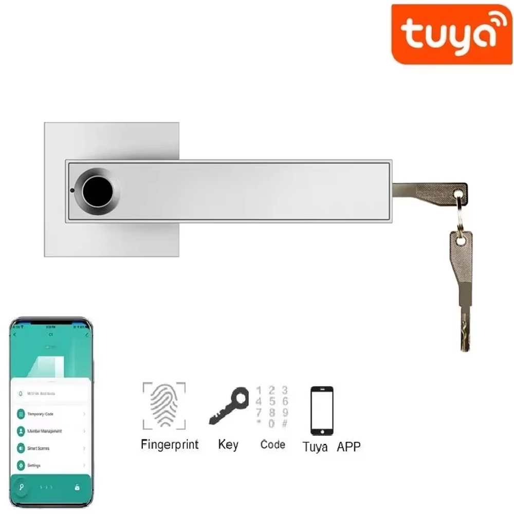 Cerradura de puerta inteligent - Home Security Gate reseña y precio